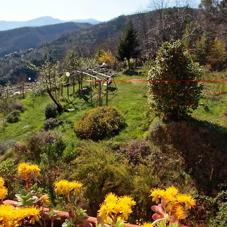 Il Nido Del Gufo * Vezzi Portio