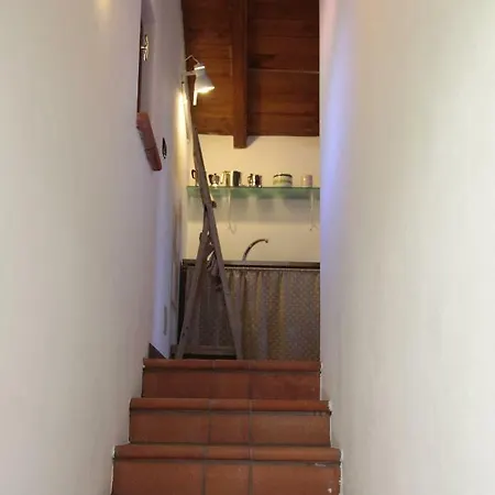 Il Nido Del Gufo *