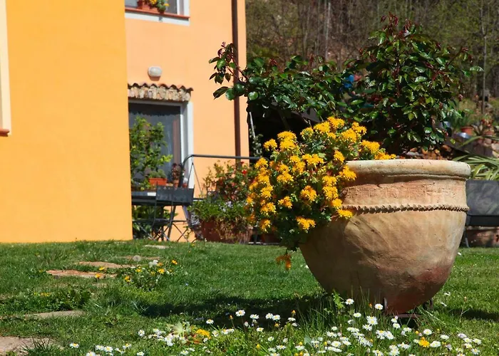 Il Nido Del Gufo